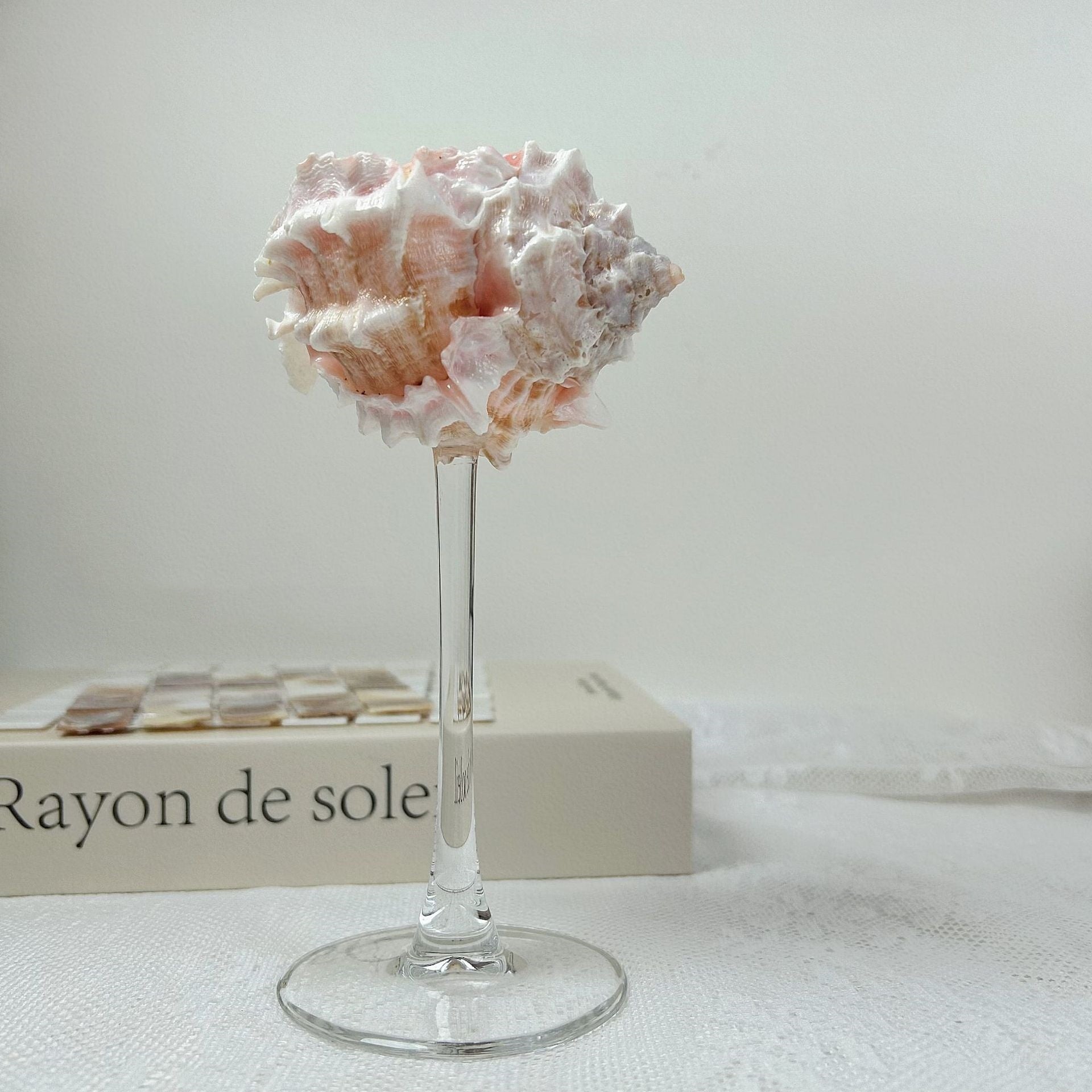 Shell Conch Wine Glass Aromatherapy Dish Decoration Cup
