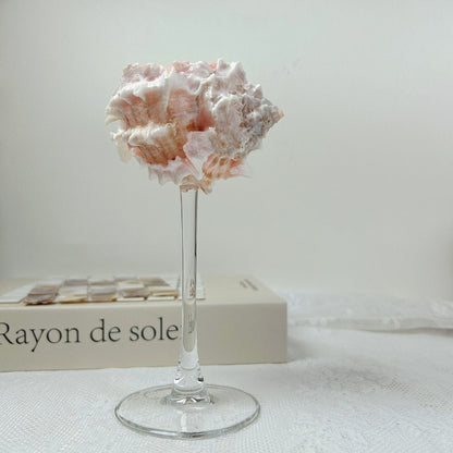 Shell Conch Wine Glass Aromatherapy Dish Decoration Cup