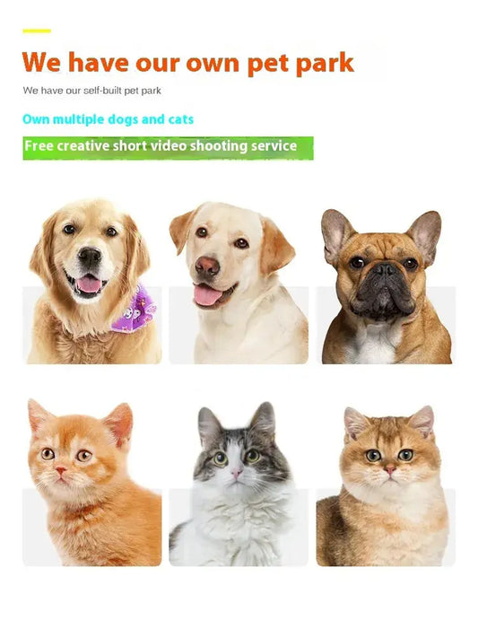 View details for Molar Teeth Cleaning New Dog Rope Bite Ball Molar Teeth Cleaning New Dog Rope Bite Ball