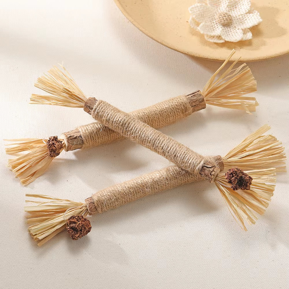 Natural Matatabi Pet Cat Snacks Sticks Cleaning Tooth Catnip Cat Toys Actinidia Silvervine Pet Toy for Cats Accessories