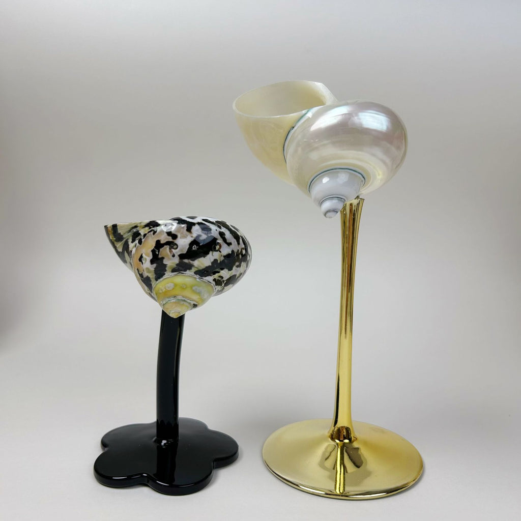 Shell Conch Wine Glass Aromatherapy Dish Decoration Cup