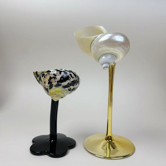 Shell Conch Wine Glass Aromatherapy Dish Decoration Cup