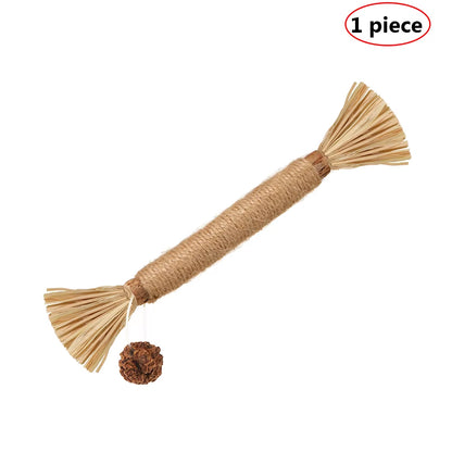 Natural Matatabi Pet Cat Snacks Sticks Cleaning Tooth Catnip Cat Toys Actinidia Silvervine Pet Toy for Cats Accessories