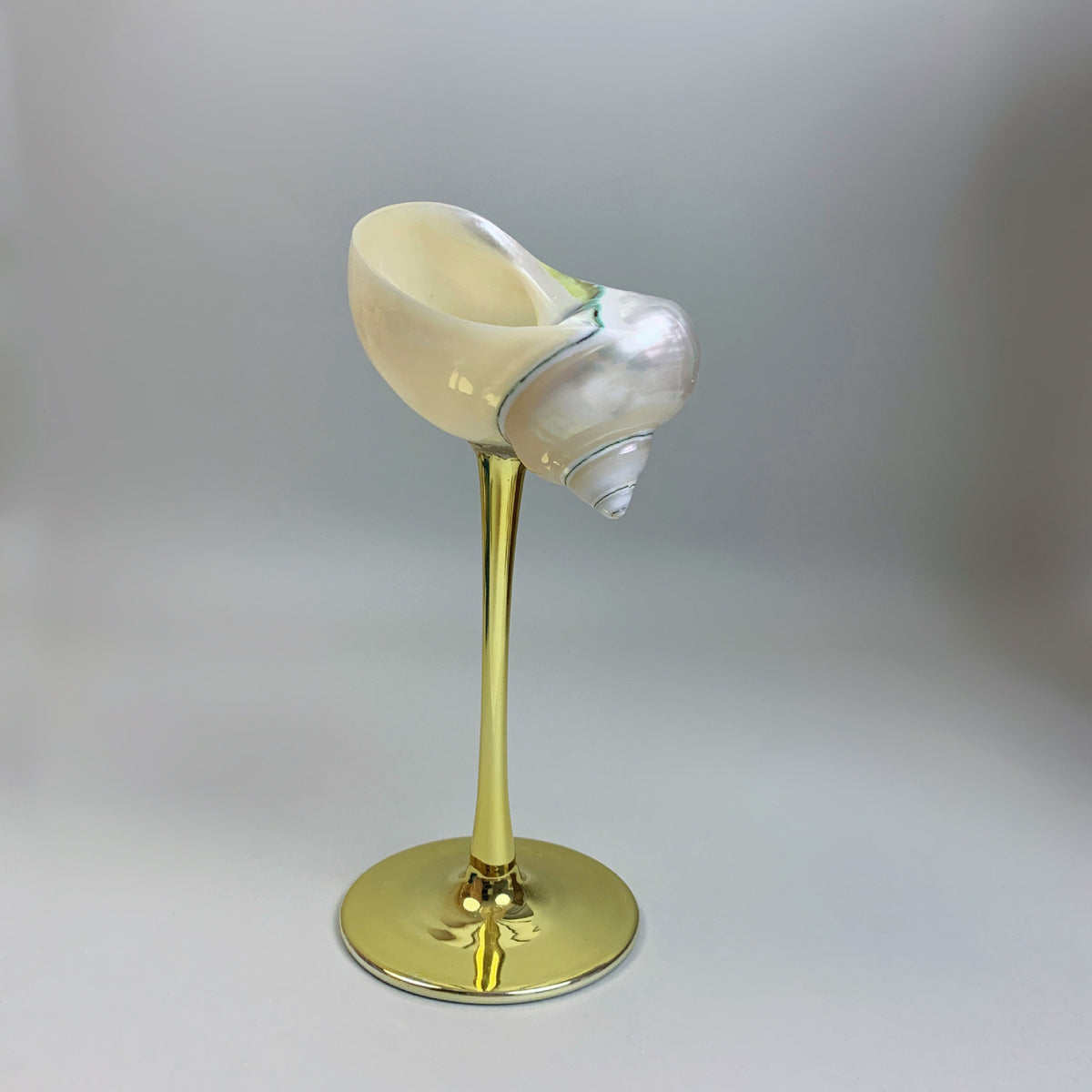 Shell Conch Wine Glass Aromatherapy Dish Decoration Cup