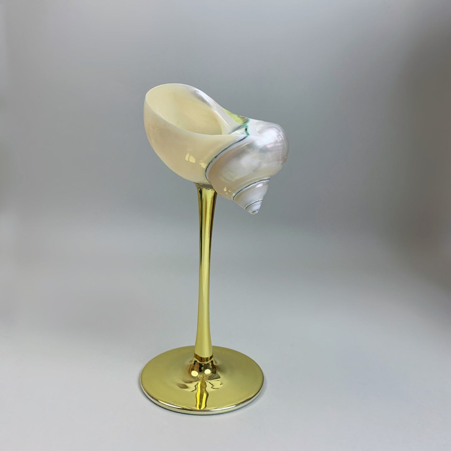 Shell Conch Wine Glass Aromatherapy Dish Decoration Cup