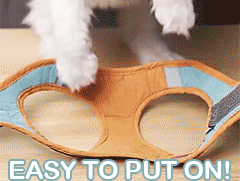  Adjustable Cat Harness With Leash Set Reflective Vest Pet Harnesses