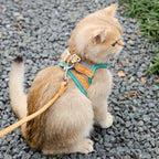  Adjustable Cat Harness With Leash Set Reflective Vest Pet Harnesses