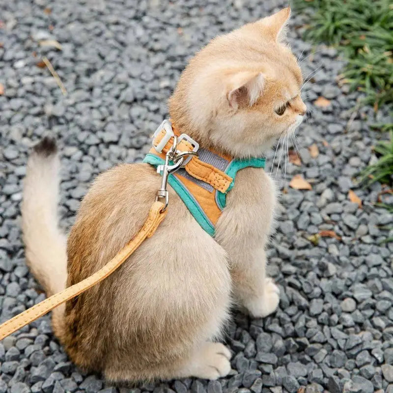  Adjustable Cat Harness With Leash Set Reflective Vest Pet Harnesses