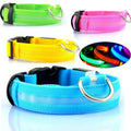 COLLAR LED RECARGABLE USB PARA MASCOTA/PERRO