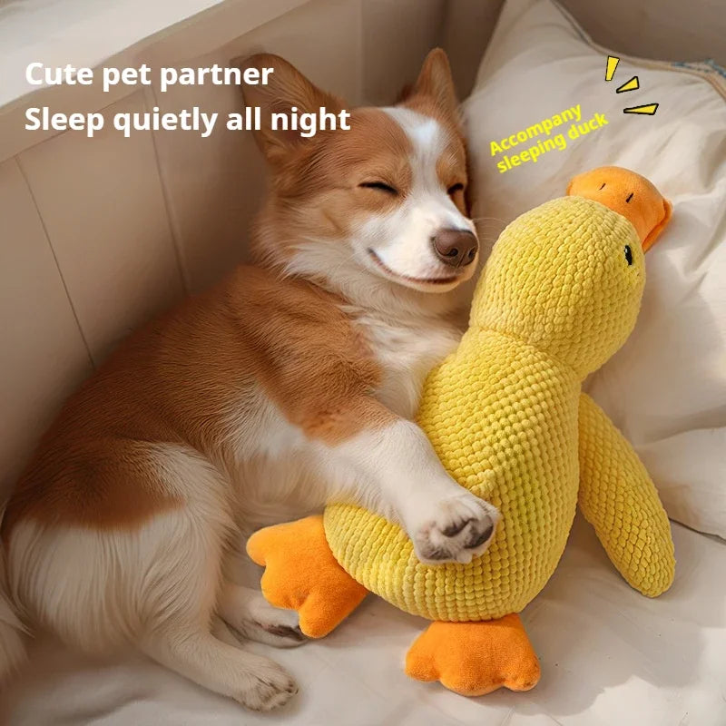 Plush Duck Dog Toy Bite Resistant Sound Relief Chew Shop1103846354 Store