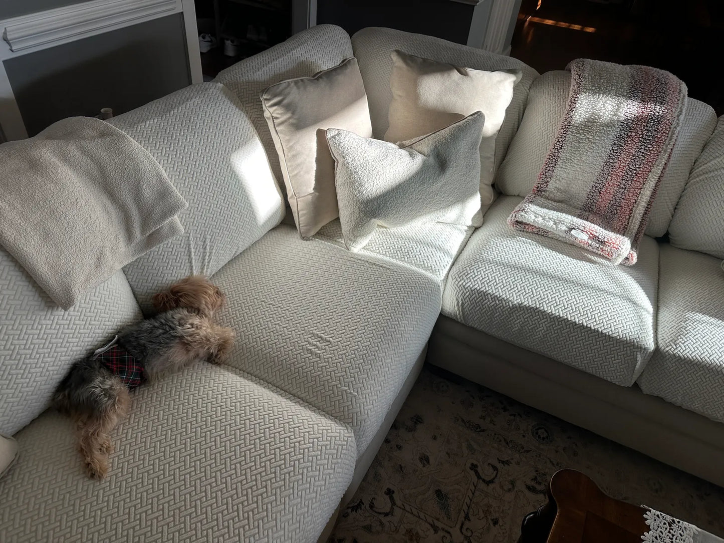 Premium Stretch Velvet Sofa Cover – Washable, Non-Slip, Pet & Kid Friendly