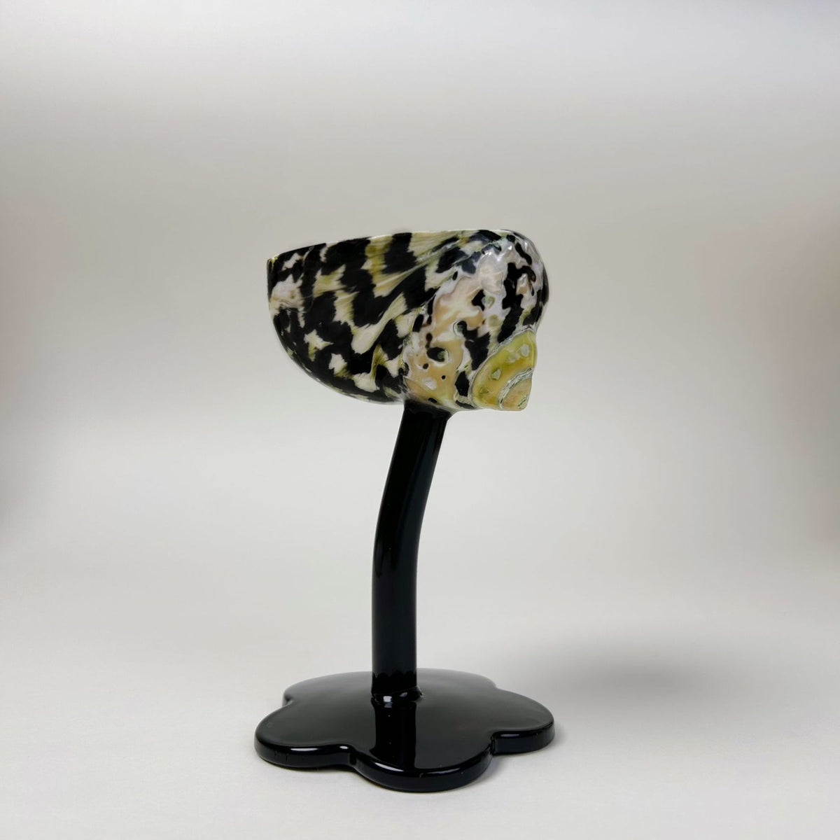 Shell Conch Wine Glass Aromatherapy Dish Decoration Cup