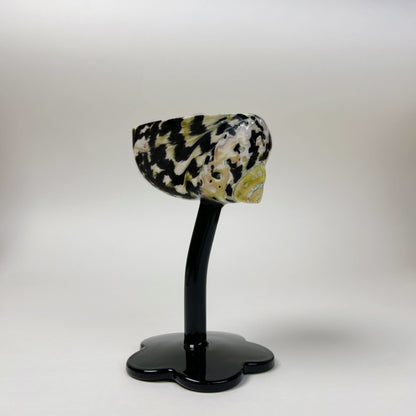 Shell Conch Wine Glass Aromatherapy Dish Decoration Cup