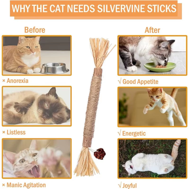 Natural Matatabi Pet Cat Snacks Sticks Cleaning Tooth Catnip Cat Toys Actinidia Silvervine Pet Toy for Cats Accessories