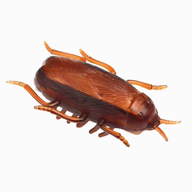 Pet Interactive Electric Bug Cat Escape Obstacle Automatic Flip Toy Battery Operated Vibration Pet Beetle Playing Toy