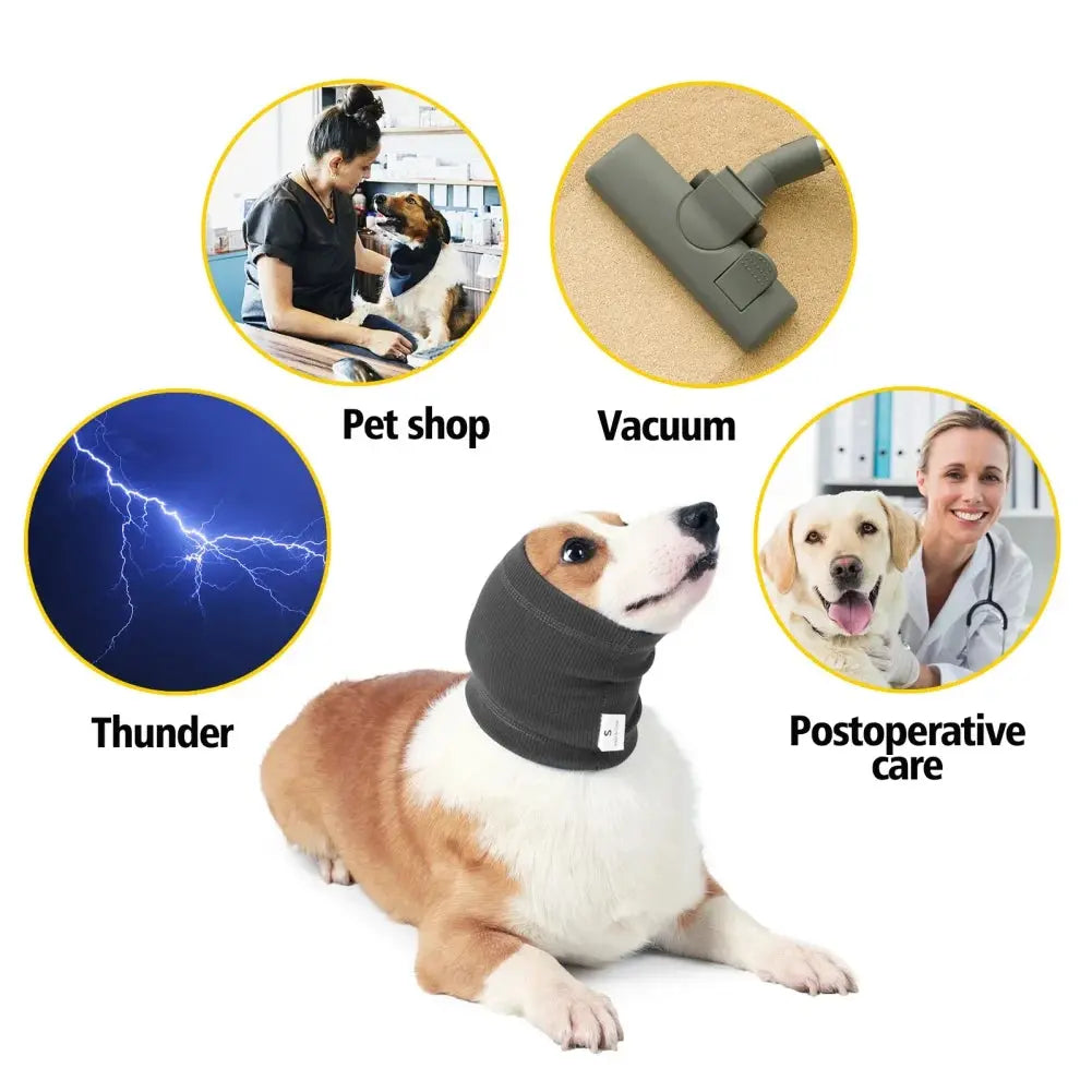 View details for Dog Ear Muffs Dog Ear Muffs