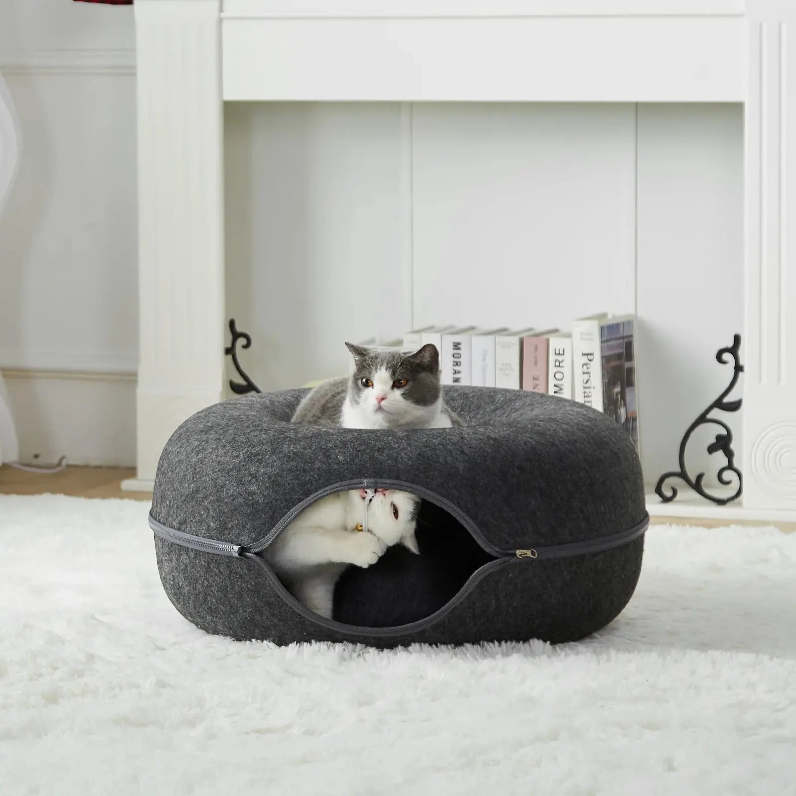 View details for Cattasaurus Peekaboo Cave Cattasaurus Peekaboo Cave