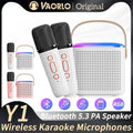 PartyPro Dual Mic Karaoke System