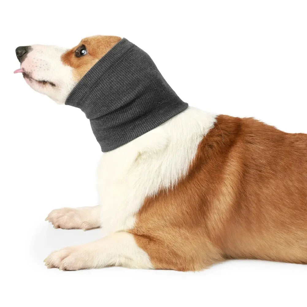 View details for Dog Ear Muffs Dog Ear Muffs