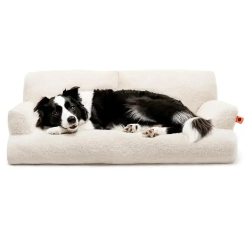 View details for Comfort Paws Pet Sofa Bed Comfort Paws Pet Sofa Bed