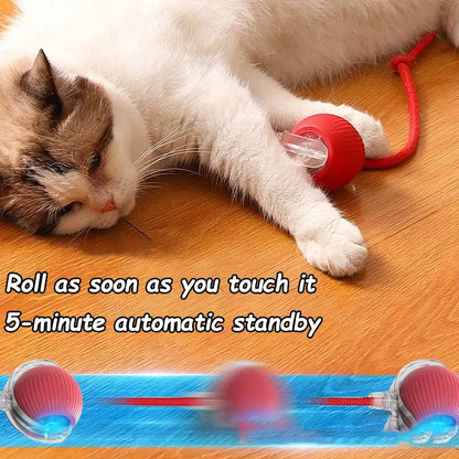View details for Bouncetug Play Ball – Interactive Pet Toy 
