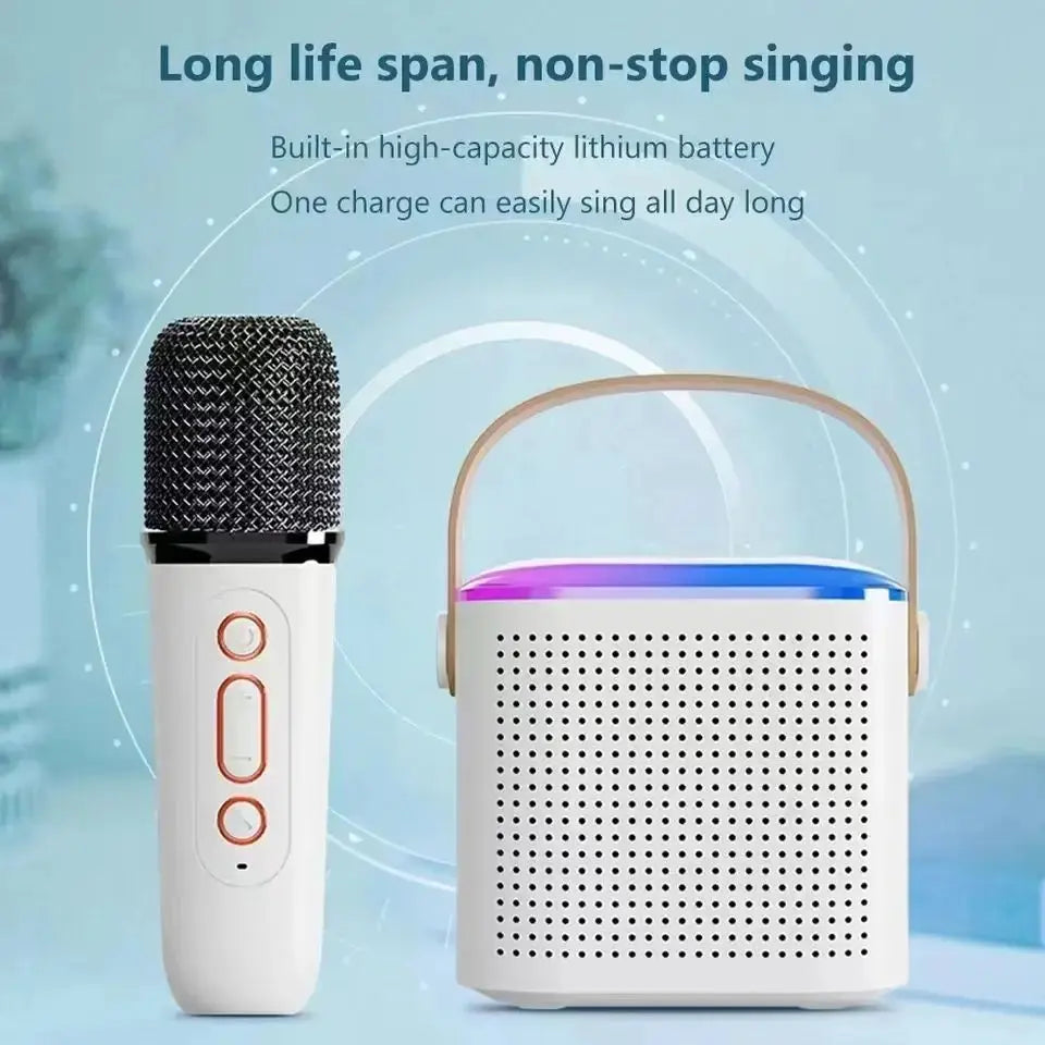 PartyPro Dual Mic Karaoke System