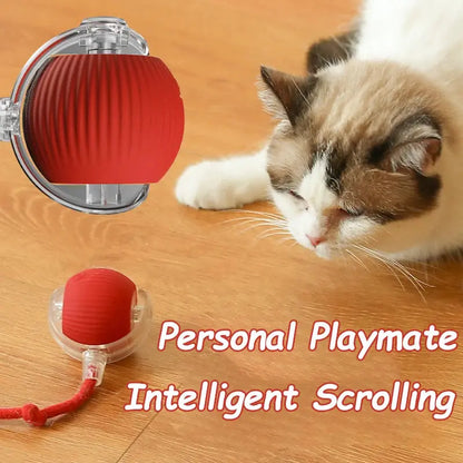 View details for Bouncetug Play Ball – Interactive Pet Toy 