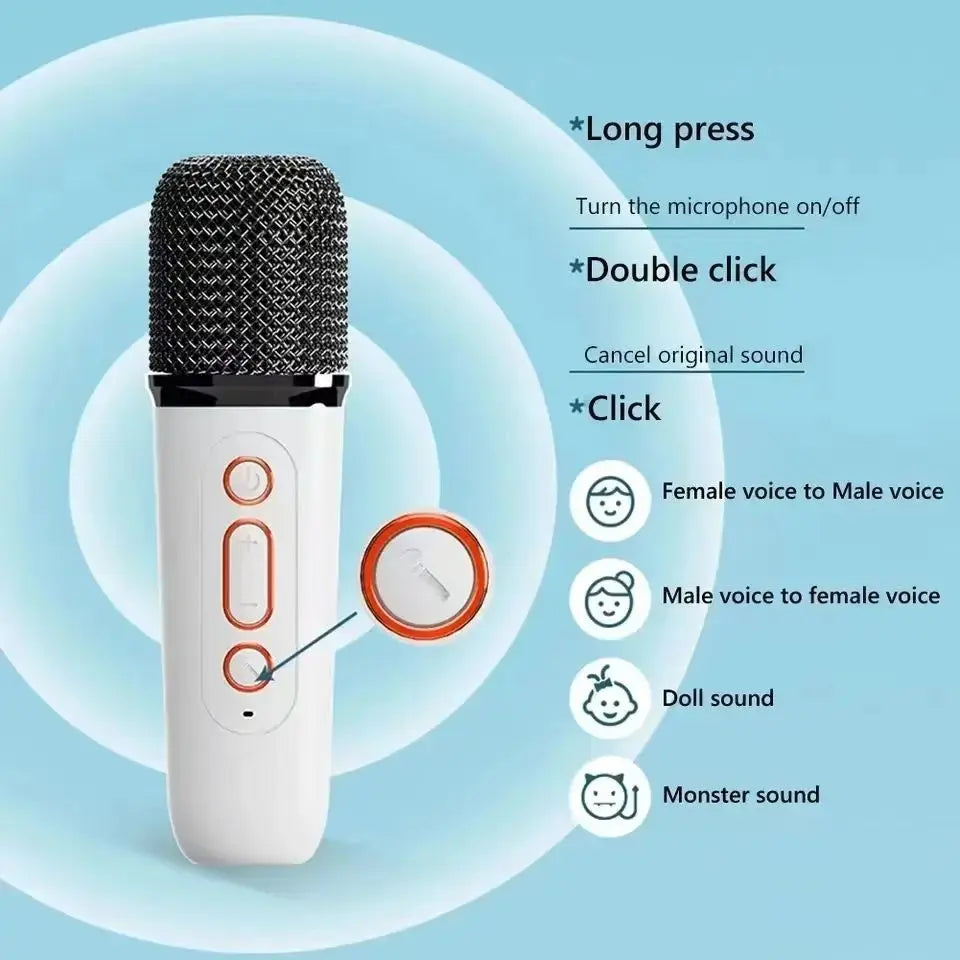PartyPro Dual Mic Karaoke System