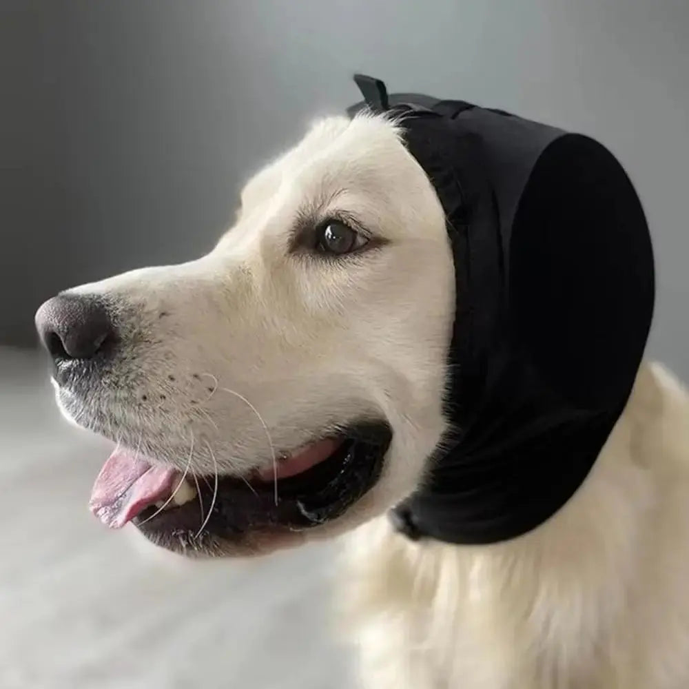 Pawsome Dog Calming Hoodie South Bay Evans General Store