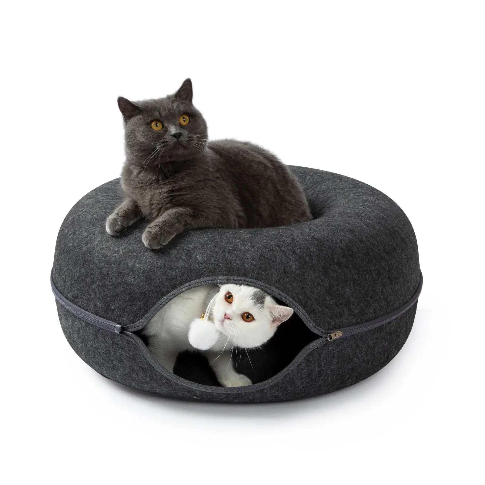 View details for Cattasaurus Peekaboo Cave Cattasaurus Peekaboo Cave