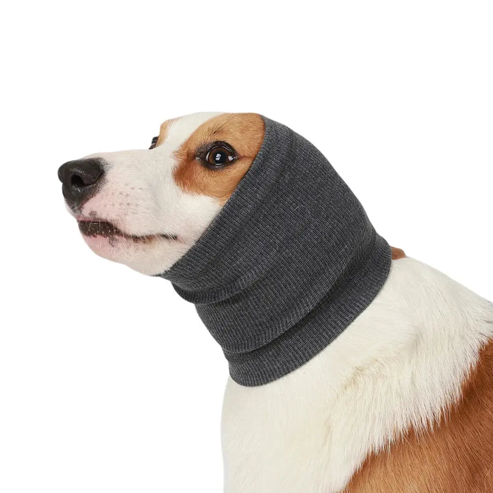 View details for Dog Ear Muffs Dog Ear Muffs