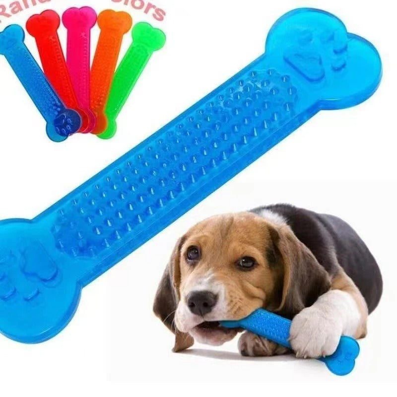 Kiwi Bone Chew Toy Your Pet Store
