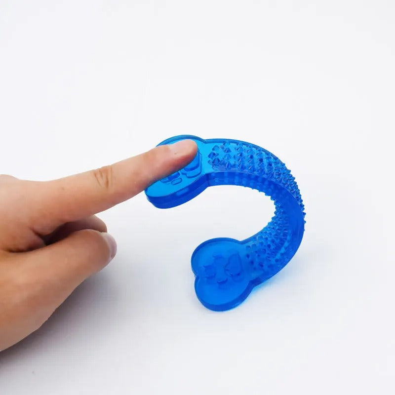 Kiwi Bone Chew Toy Your Pet Store