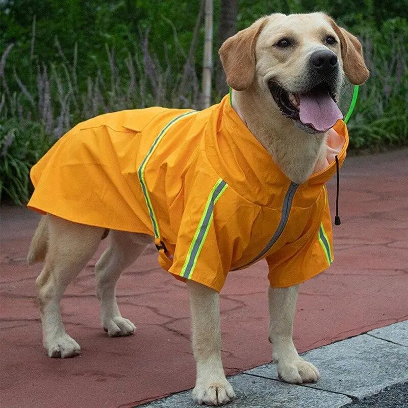 Chubasqueros reflectantes para perros, grandes y pequeños, impermeables