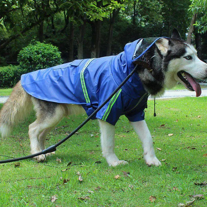 Chubasqueros reflectantes para perros, grandes y pequeños, impermeables