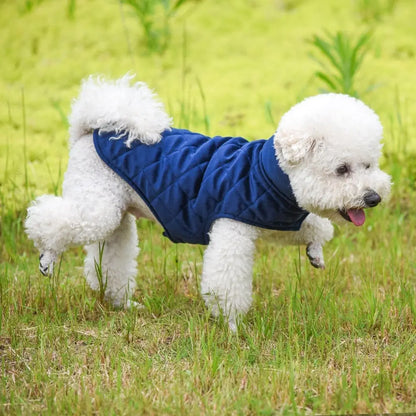 Dogs Winter Warm Vest Yellow Pandora