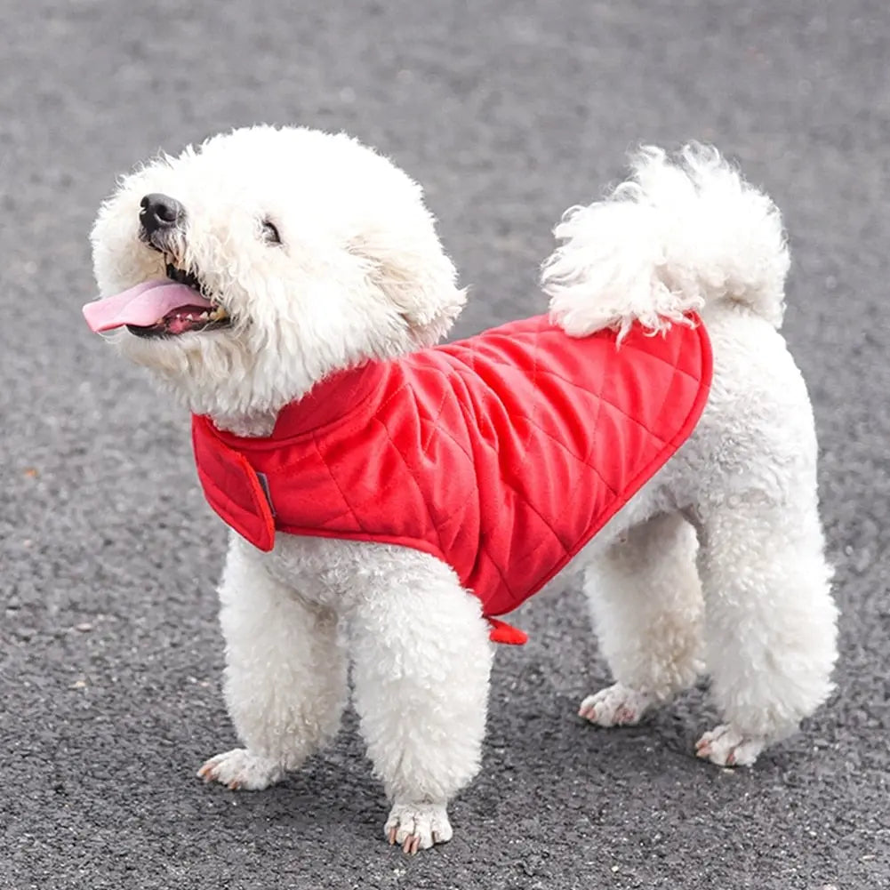 Dogs Winter Warm Vest Yellow Pandora