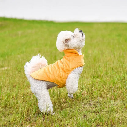 Dogs Winter Warm Vest Yellow Pandora