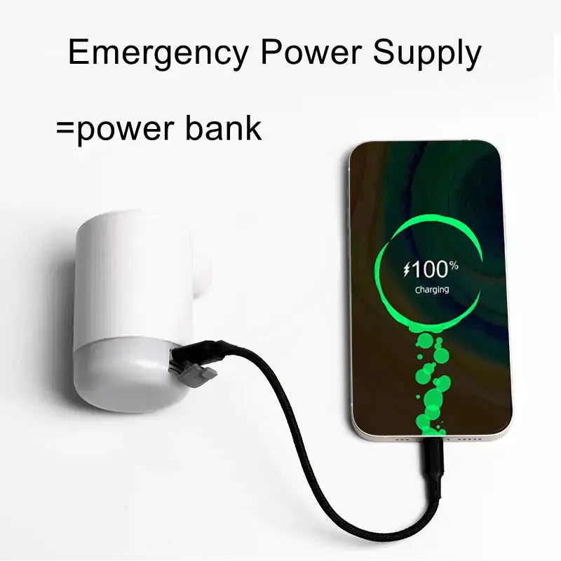 View details for Portable Mini Air Pump Electric Inflator 