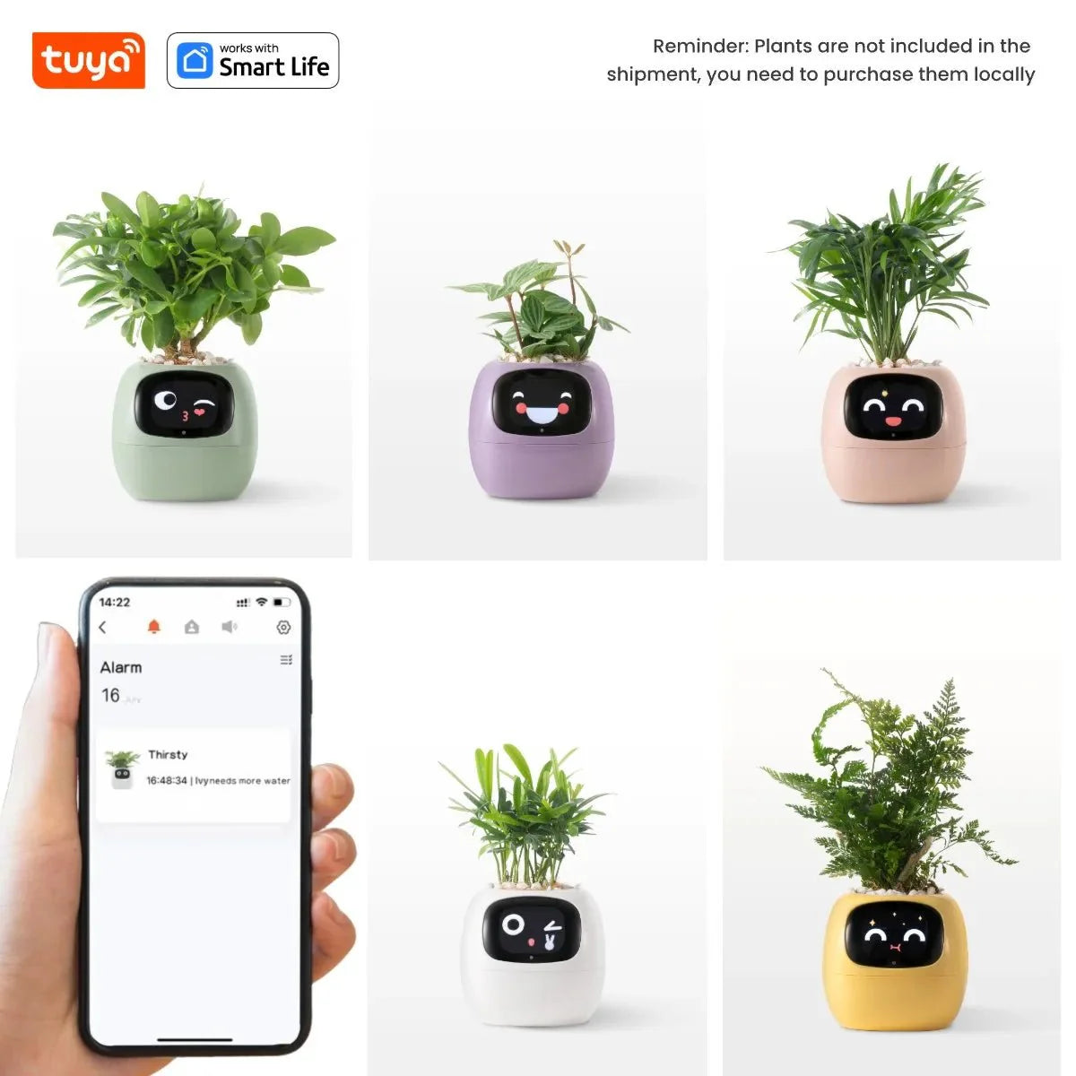 Tuya Ivy Smart Planter Bee Store
