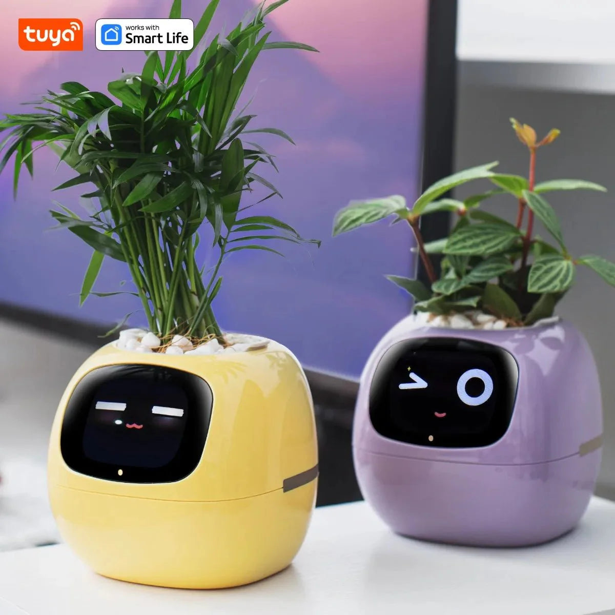 Tuya Ivy Smart Planter Bee Store