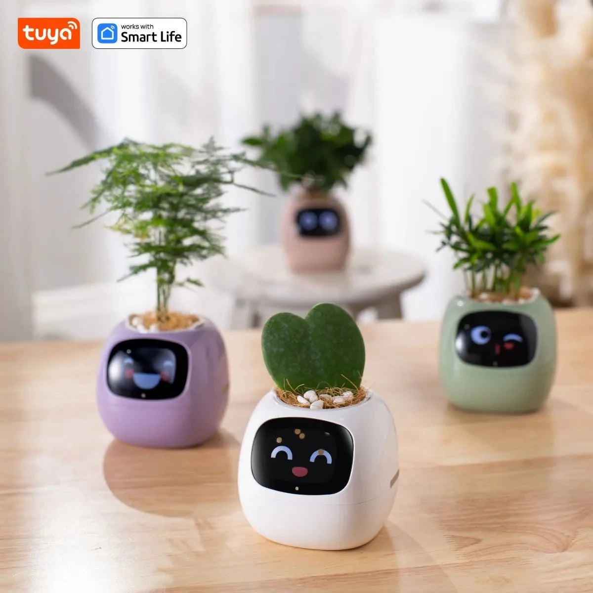 Tuya Ivy Smart Planter Bee Store