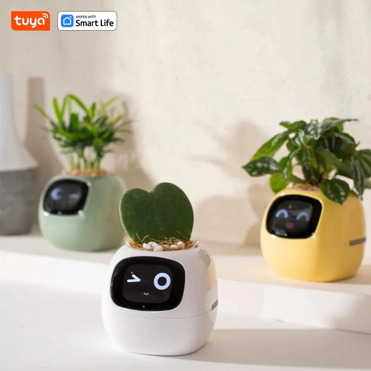 Tuya Ivy Smart Planter Bee Store