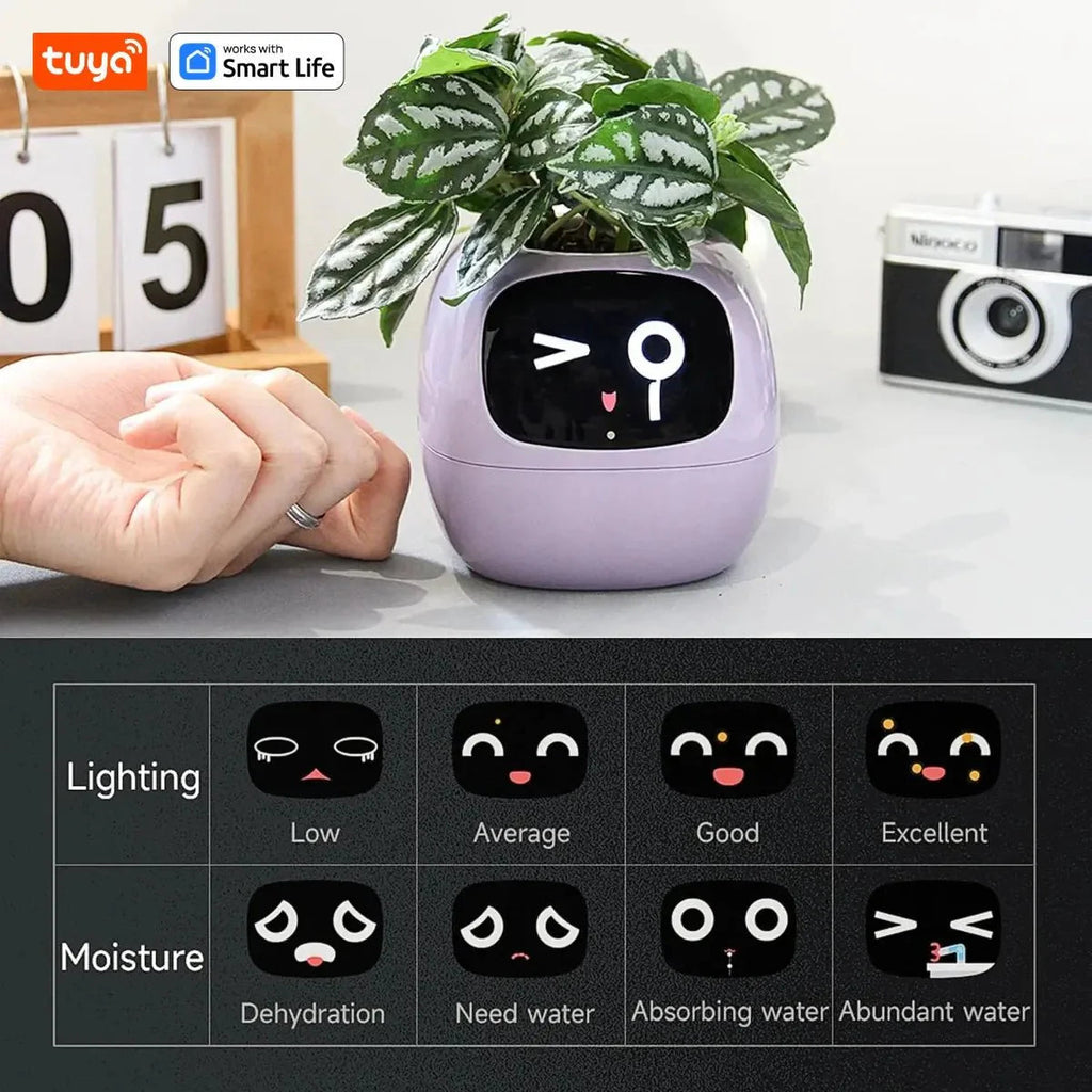 Tuya Ivy Smart Planter Bee Store