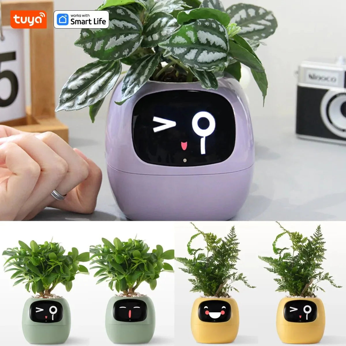 Tuya Ivy Smart Planter Bee Store