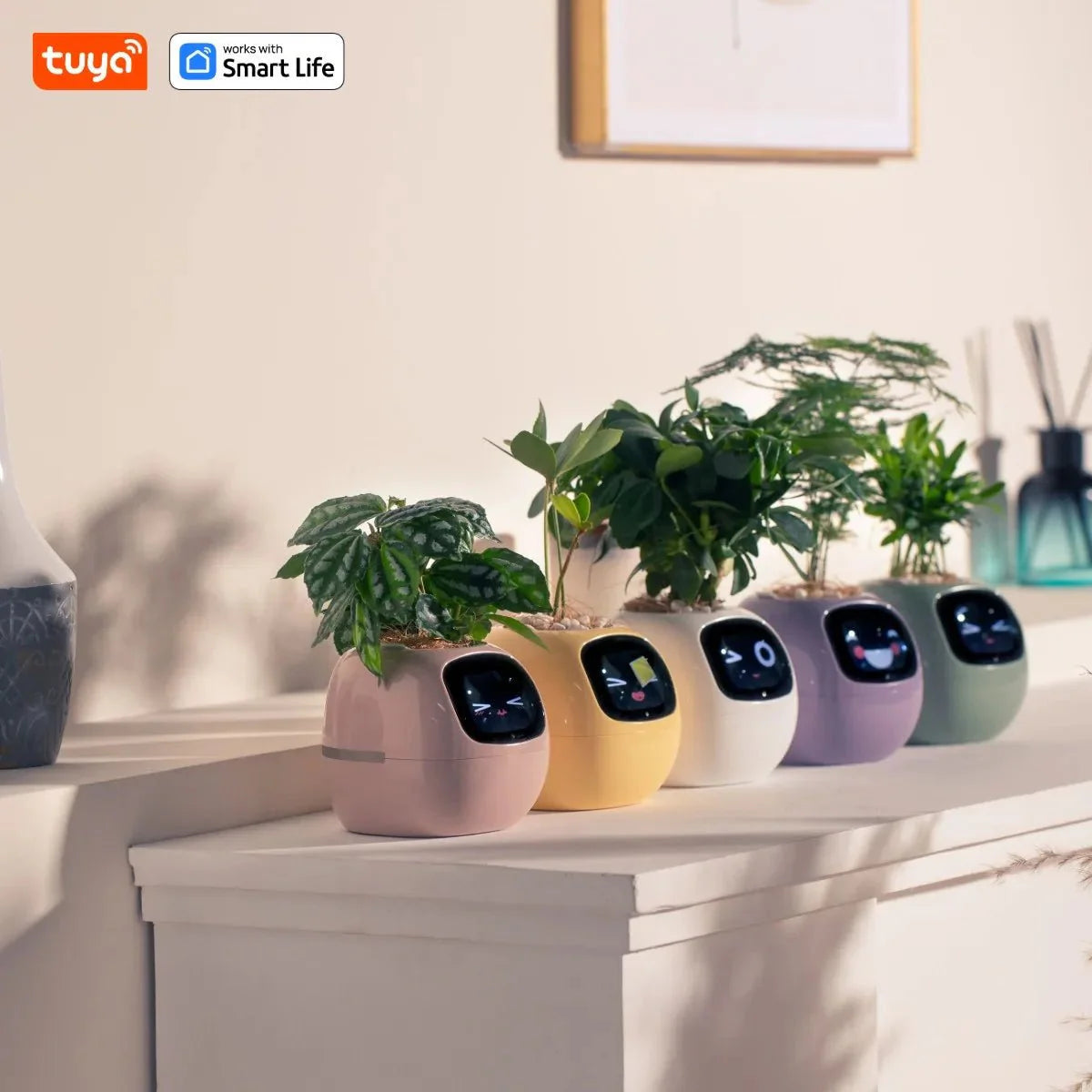 Tuya Ivy Smart Planter Bee Store