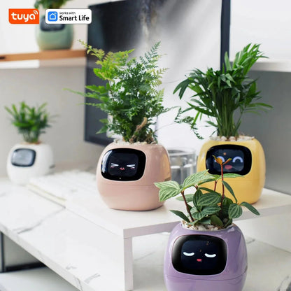 Tuya Ivy Smart Planter Bee Store