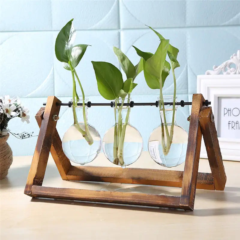 Glass and Wood Vase Planter Table Desktop Tool Dropshipping Store